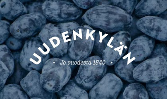 Tiedote 15.6.2025  Terveellistä uutuusmarjaa Salosta – hunajamarja hurmaa maullaan ja ravintoarvoillaan